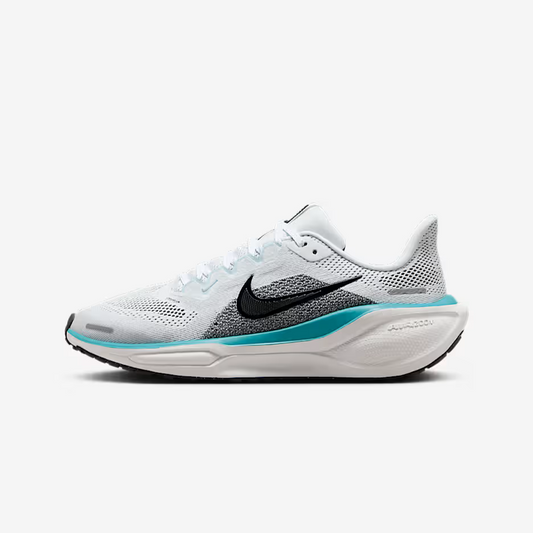 Nike Pegasus-41 (10A)
