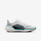 Nike Pegasus-41 (10A)