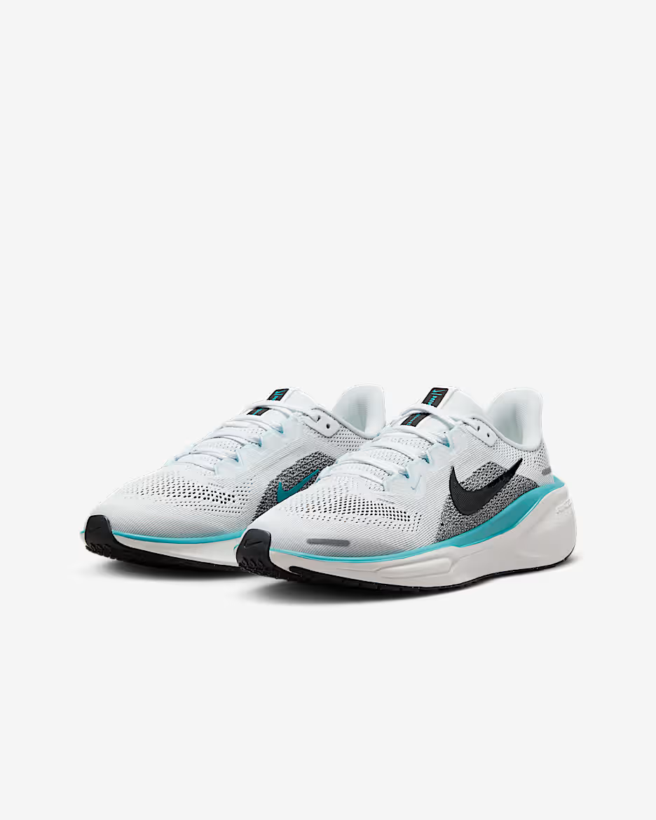 Nike Pegasus-41 (10A)