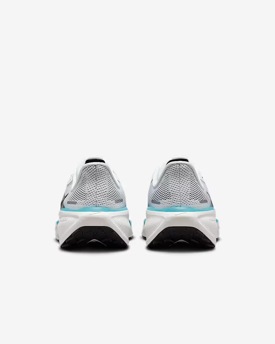 Nike Pegasus-41 (10A)